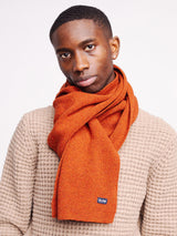 SCARF HORN